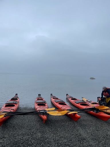 Tourist Information Center «Coastal Kayaking Tours Inc», reviews and photos, 48 Cottage St, Bar Harbor, ME 04609, USA