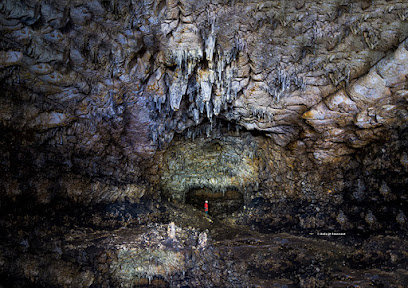Cueva de les Dones, Millares