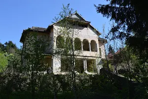 Aronson Villa image