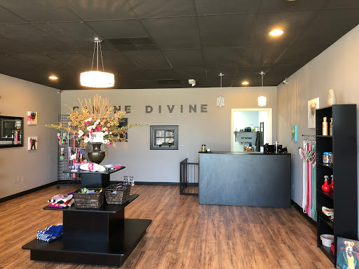 Canine Divine professional Dog Grooming