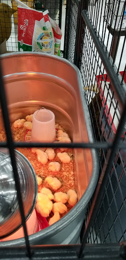 Home Improvement Store «Tractor Supply Co.», reviews and photos, 3791 AL-14, Millbrook, AL 36054, USA