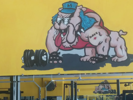 Gym «Michigan Muscle, LLC», reviews and photos, 27360 Harper Ave, St Clair Shores, MI 48081, USA