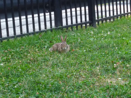 Park «Unity Playlot Park», reviews and photos, 2636 N Kimball Ave, Chicago, IL 60647, USA