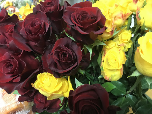 Produce Market «Vicentinos Produce Market», reviews and photos, 292 Spruce St, Chelsea, MA 02150, USA