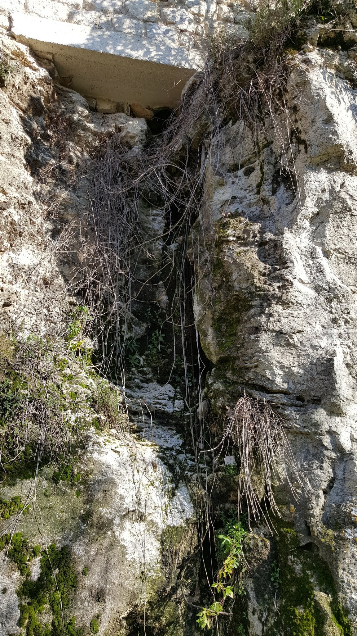 Photo n° 3 de l'avis de Emmanuel.a fait le 21/11/2019 à 16:15