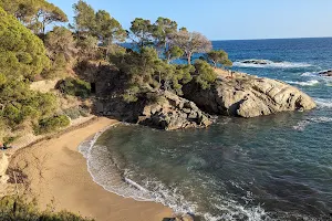 Cala del Pi image