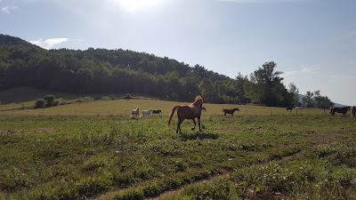 Les Balades du Conté à Saint-Michel