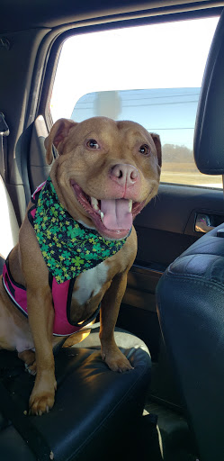 Pet Supply Store «Pet Supplies Plus», reviews and photos, 22124 Ecorse Rd, Taylor, MI 48180, USA