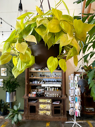 Florist «California Sister Floral Design & Supply», reviews and photos, 6790 McKinley St #190, Sebastopol, CA 95472, USA