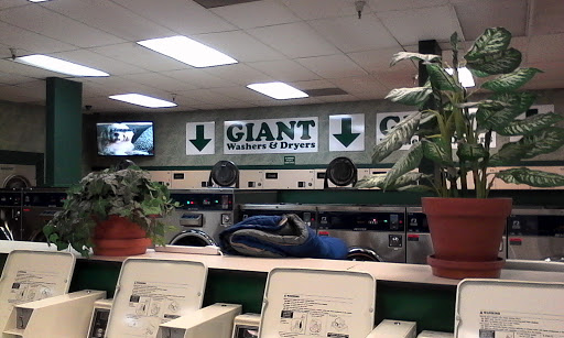 Laundromat «The Laundry Co of Carmichael», reviews and photos, 6450 Fair Oaks Blvd, Carmichael, CA 95608, USA