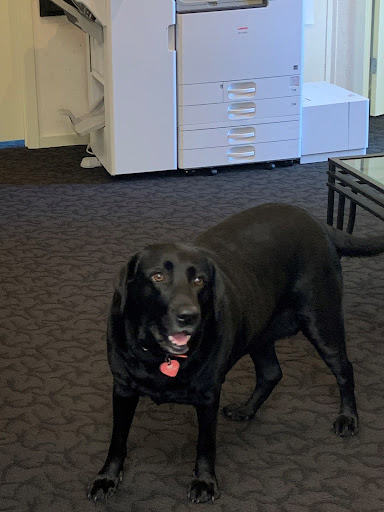 Real Estate Agency «Brett Furman Group - Re/Max Classic», reviews and photos, 528 Lancaster Ave, Wayne, PA 19087, USA