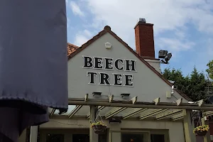 The Beech Tree image