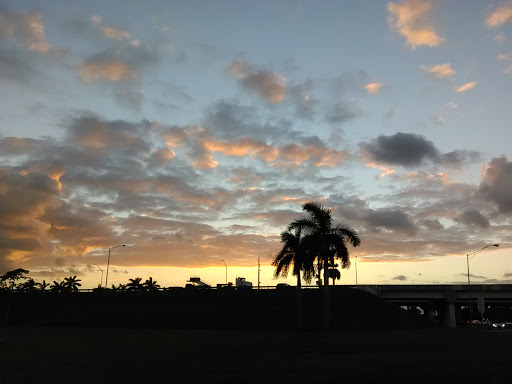 Supermarket «Publix Super Market at Waterstone Plaza», reviews and photos, 3060 NE 41st Terrace, Homestead, FL 33033, USA
