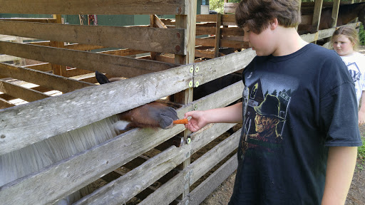 Animal Rescue Service «Nanny’s Educational Zoo And Rescue», reviews and photos, 1139 Livingston Rd, Lutz, FL 33559, USA