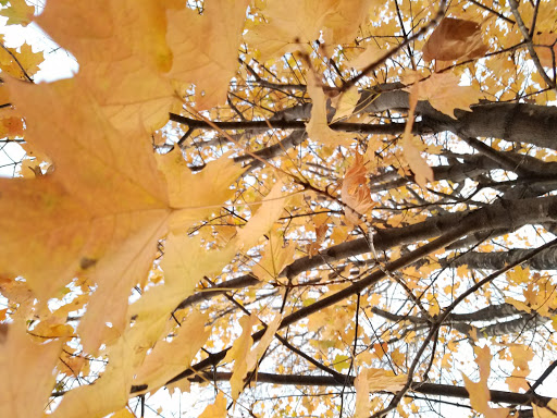 Park «Sherando Park», reviews and photos, 255 Lakeview Cir, Stephens City, VA 22655, USA