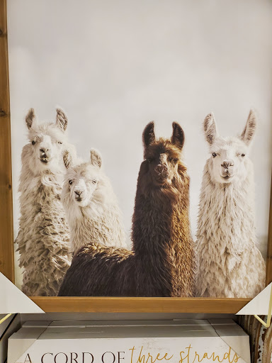 Craft Store «Hobby Lobby», reviews and photos, 4332 Kent Rd, Stow, OH 44224, USA