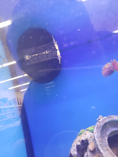 Pet Supply Store «Pet Supplies Plus», reviews and photos, 2424 W State St, Alliance, OH 44601, USA