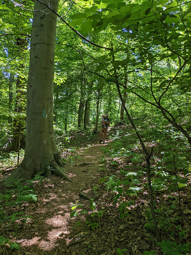 Nature Preserve «Shiprock Woods Nature Preserve», reviews and photos, 2626 Shiprock Rd, Willow Street, PA 17584, USA