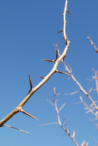 Park «Rickel Park», reviews and photos, 2100 Rickel Park Dr, Hurst, TX 76053, USA