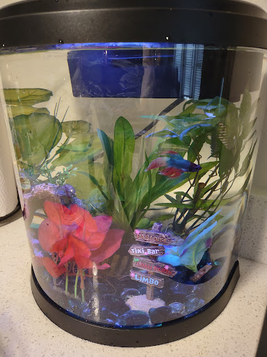 Pet Supply Store «Petco Animal Supplies», reviews and photos, 8700 Preston Rd #105, Plano, TX 75024, USA