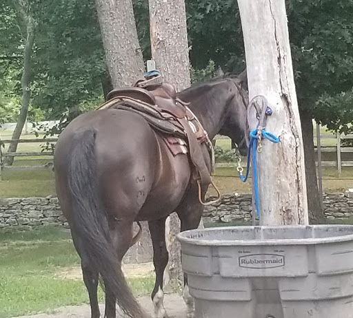 Tourist Attraction «C and L Stables», reviews and photos, 1095 Ives Rd, East Greenwich, RI 02818, USA