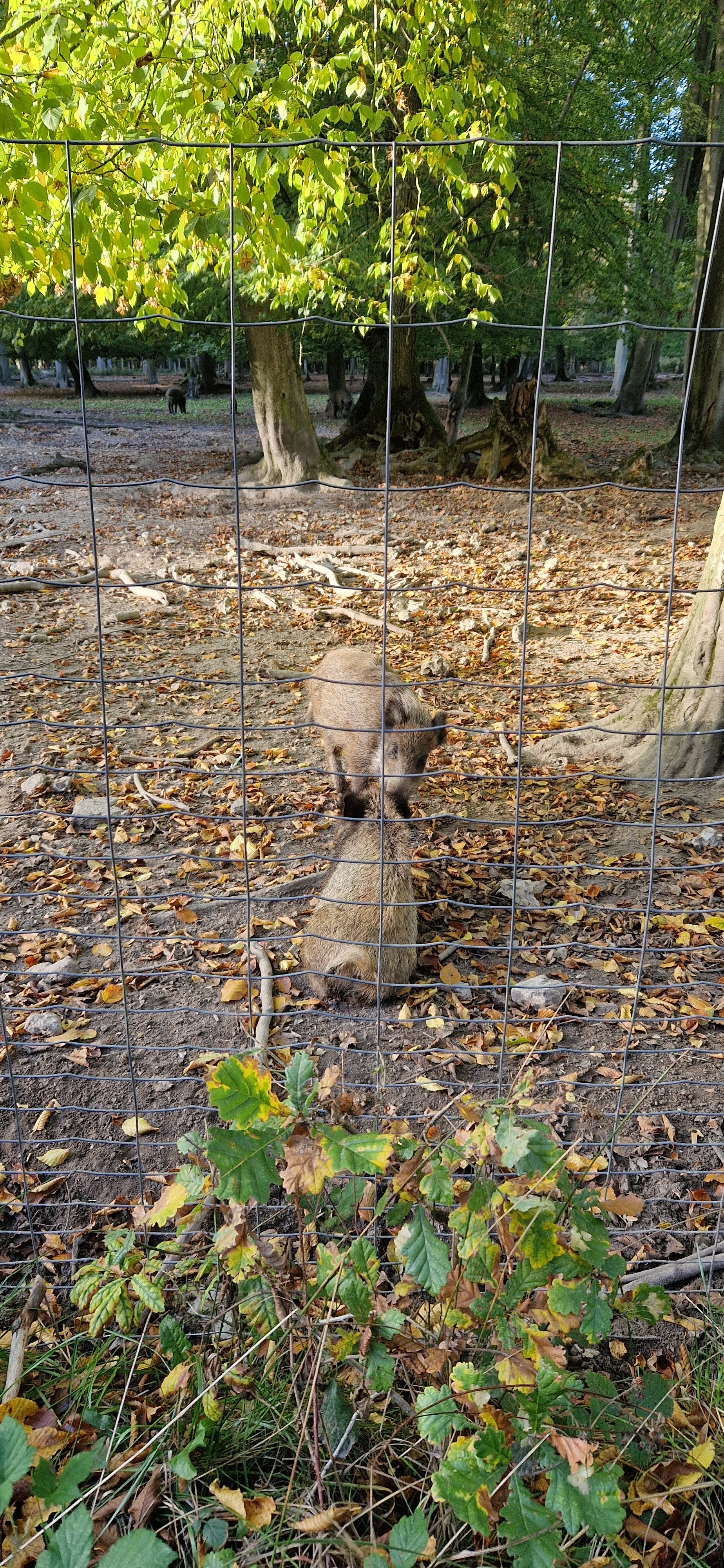 Photo n° 3 de l'avis de Eric. fait le 27/10/2022 à 15:51