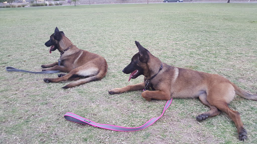 Park «Burning Mesquite Park», reviews and photos, 12547 Cevallia Ave, El Paso, TX 79928, USA