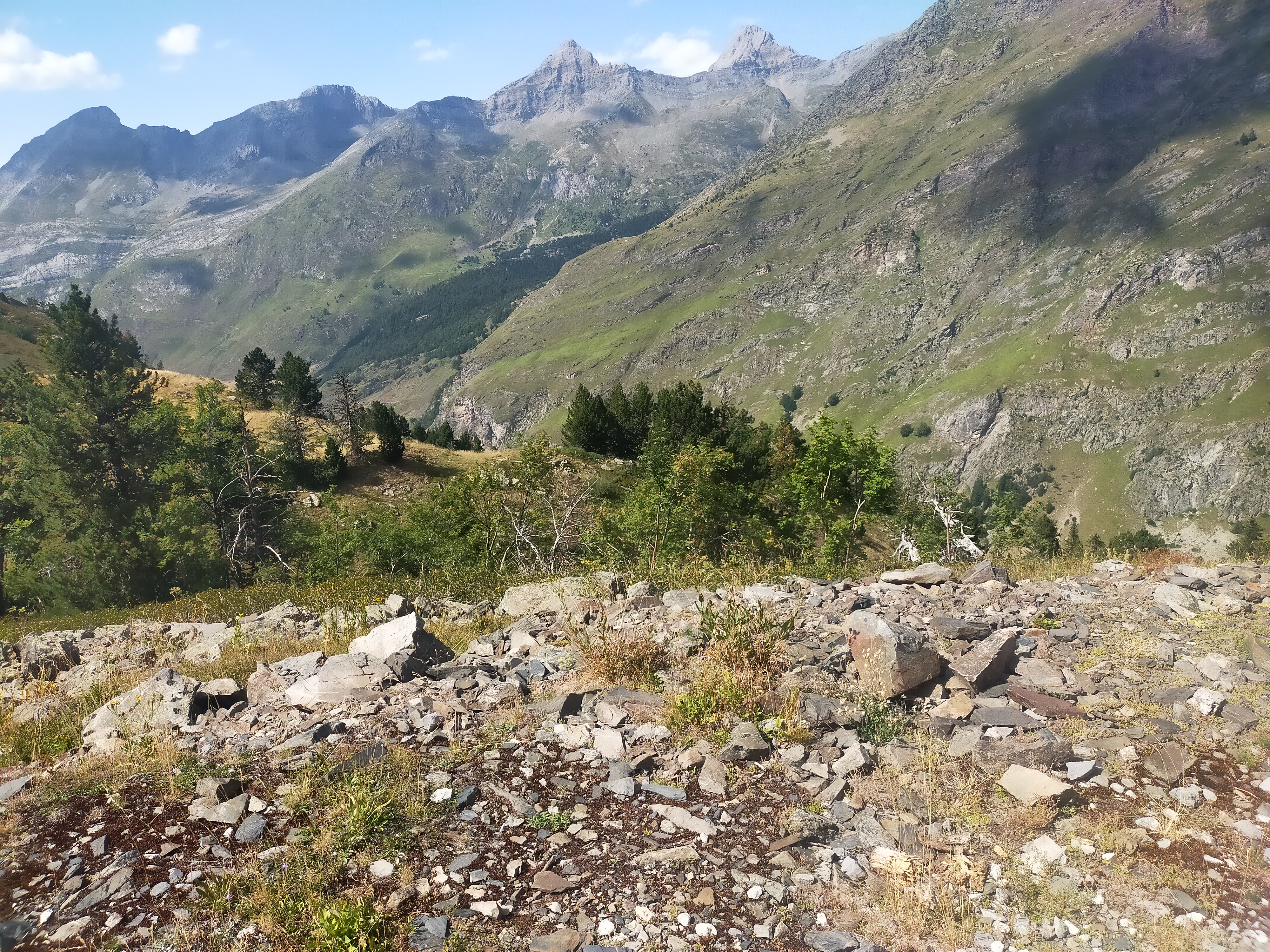 Photo n° 8 de l'avis de Laurence.O fait le 16/08/2023 à 16:22