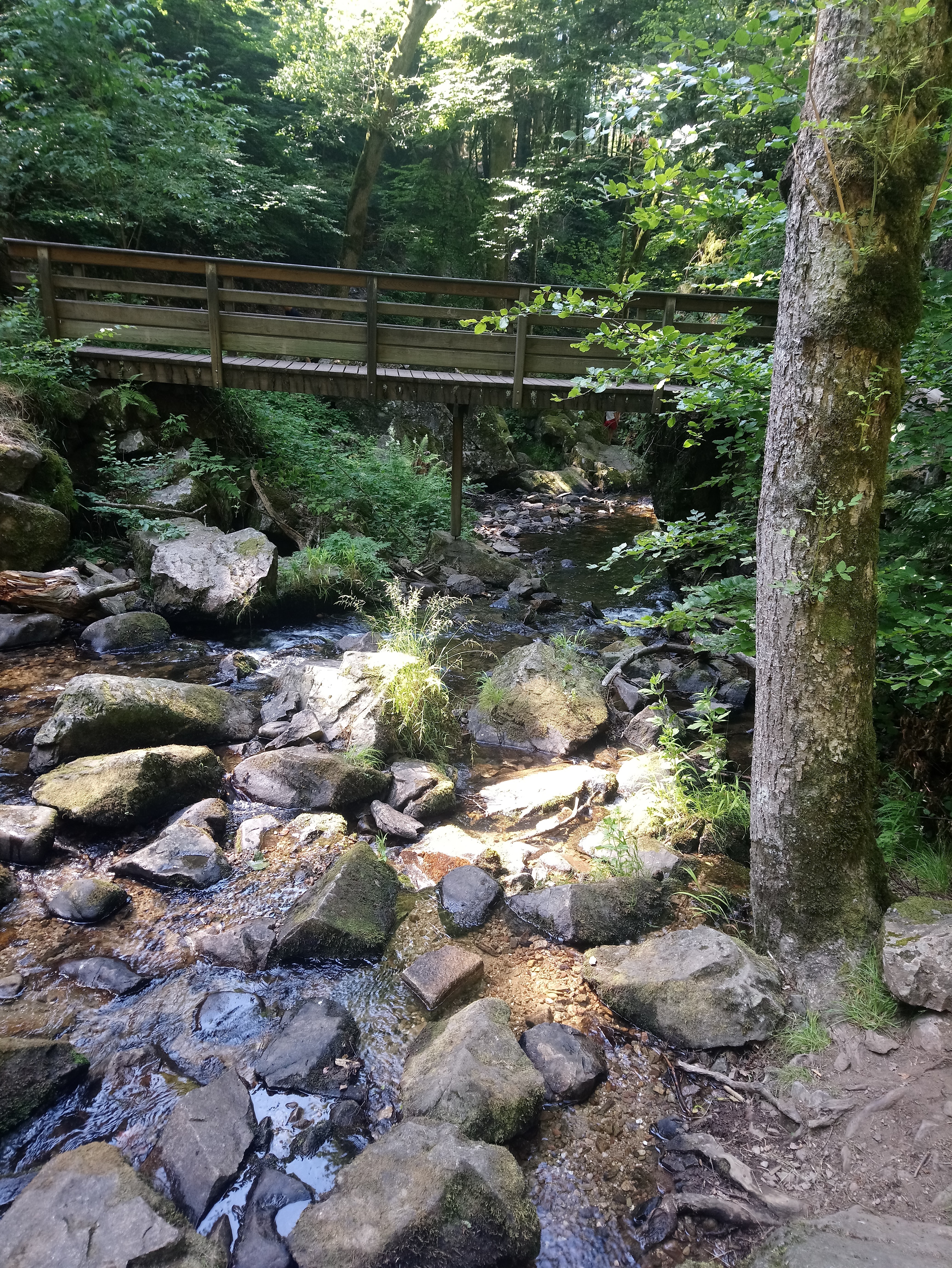 Photo n° 3 de l'avis de Ludivine.n fait le 24/07/2019 à 13:33