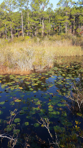 Park «Joe Moody Harris Park», reviews and photos, N Center Ave, Panama City, FL 32401, USA