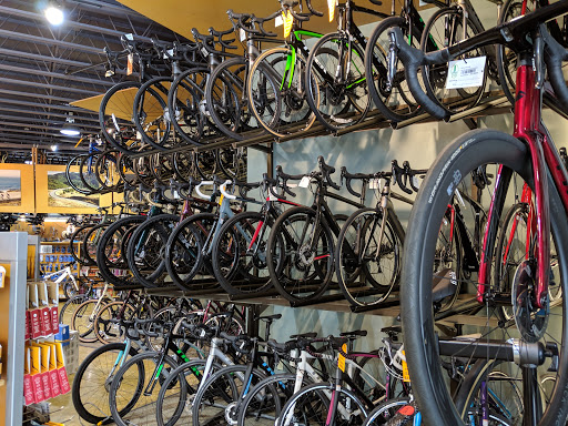 Bicycle Store «Palo Alto Bicycles», reviews and photos, 171 University Ave, Palo Alto, CA 94301, USA