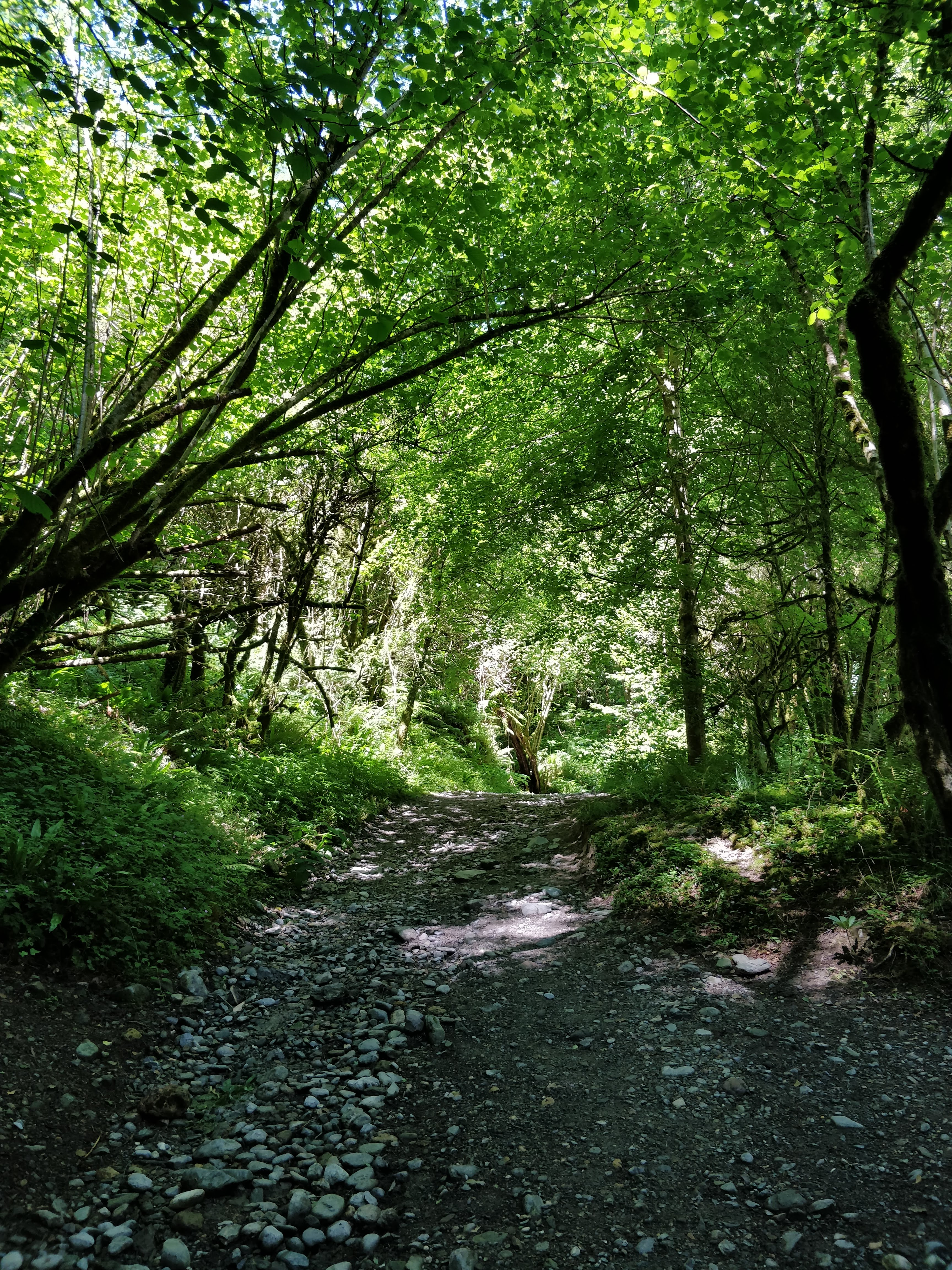 Photo n° 5 de l'avis de Fabien.l fait le 18/06/2019 à 17:32