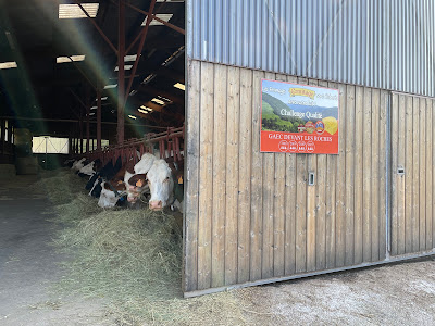 Gaec Devant les Roches - Ferme Etienne à Gerbamont