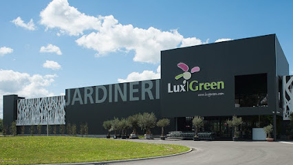 Lux Green Marche