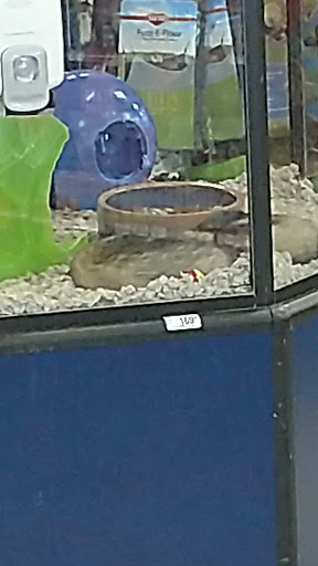 Pet Supply Store «Petco Animal Supplies», reviews and photos, 2722 N Josey Ln #107, Carrollton, TX 75007, USA