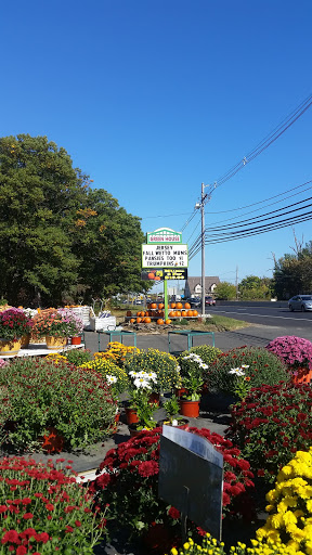 Florist «Dutch & Olgas Greenhouse», reviews and photos, 1285 NJ-36, Hazlet, NJ 07730, USA