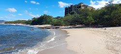 Zdjęcie Playa Langosta z poziomem czystości wysoki
