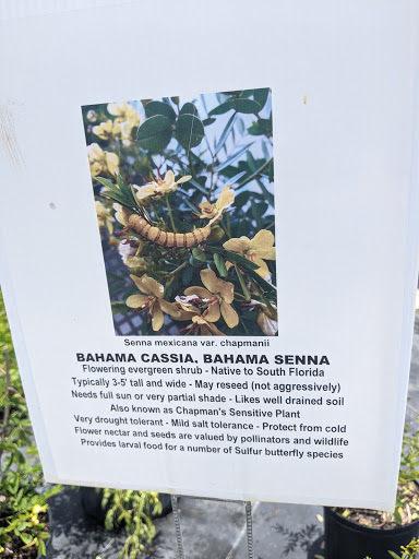 Plant Nursery «Wilcox Nursery», reviews and photos, 12501 Indian Rocks Rd, Largo, FL 33774, USA