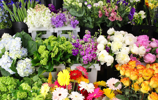 Florist «Central Square Florist», reviews and photos, 653 Massachusetts Ave, Cambridge, MA 02139, USA