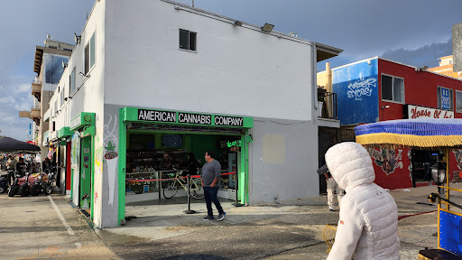 Explore sleeve ideas tattoo, creative tattoo ideas in Venice, available at House of Ink