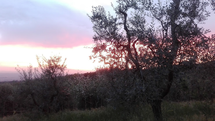 Photos des visiteurs Logement meublé Home4Italy Chalets 50050 Capraia e Limite