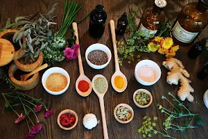 Natural Health Options - Dr. Lynn Feinman, ND,Board Certified Traditional Naturopath image