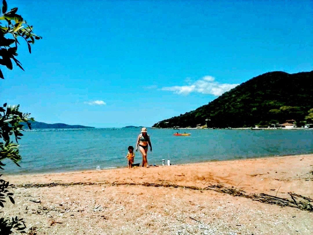 Foto av Praia do Cedro omgiven av klippor