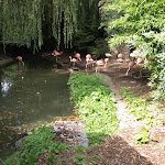Photo n° 1 de l'avis de Joffrey.u fait le 22/08/2018 à 10:50 pour Zoo de Maubeuge à Maubeuge