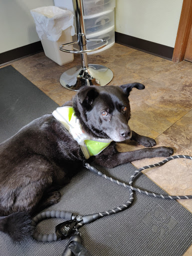 Pet Supply Store «Pet Supplies Plus», reviews and photos, 9630 Transit Rd Suite 400, East Amherst, NY 14051, USA