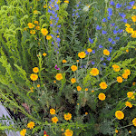 Photo n°4 de l'avis de Sabine.e fait le 26/06/2019 à 17:59 sur le  Hotel Haferland GmbH à Wieck auf dem Darß