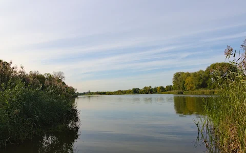 Jezioro Dziekanowskie image