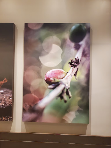 Coffee Shop «Starbucks», reviews and photos, 4261 E University Dr #10, Prosper, TX 75078, USA