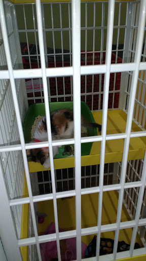 Pet Store «Katie’s PET DEPOT®», reviews and photos, 1941 Foothill Blvd, La Verne, CA 91750, USA