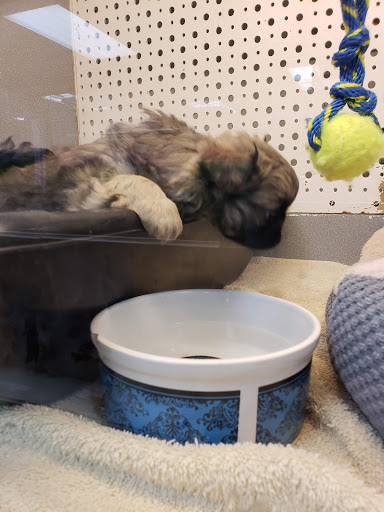 Pet Store «Animal Ark Pet Stores», reviews and photos, 33 Center St, Orem, UT 84057, USA